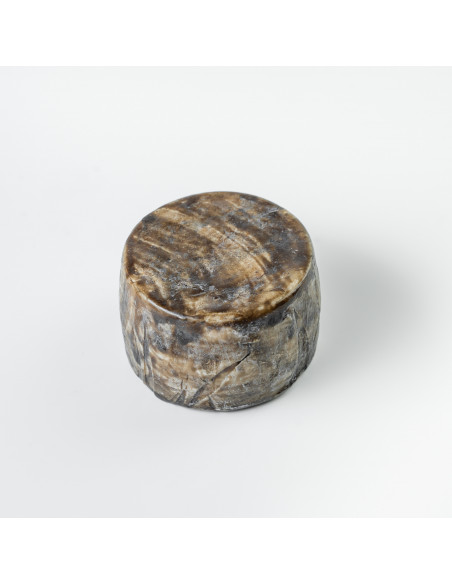 Queso de cabra curado Santa Eulalia